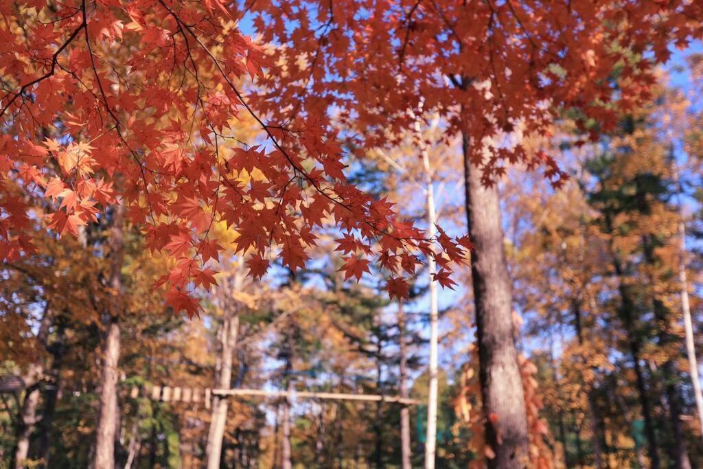 Furano CUBE SUGAR-方糖民宿,步行8min到雪场,3 brs,Max 6ppl Nakafurano Exterior foto